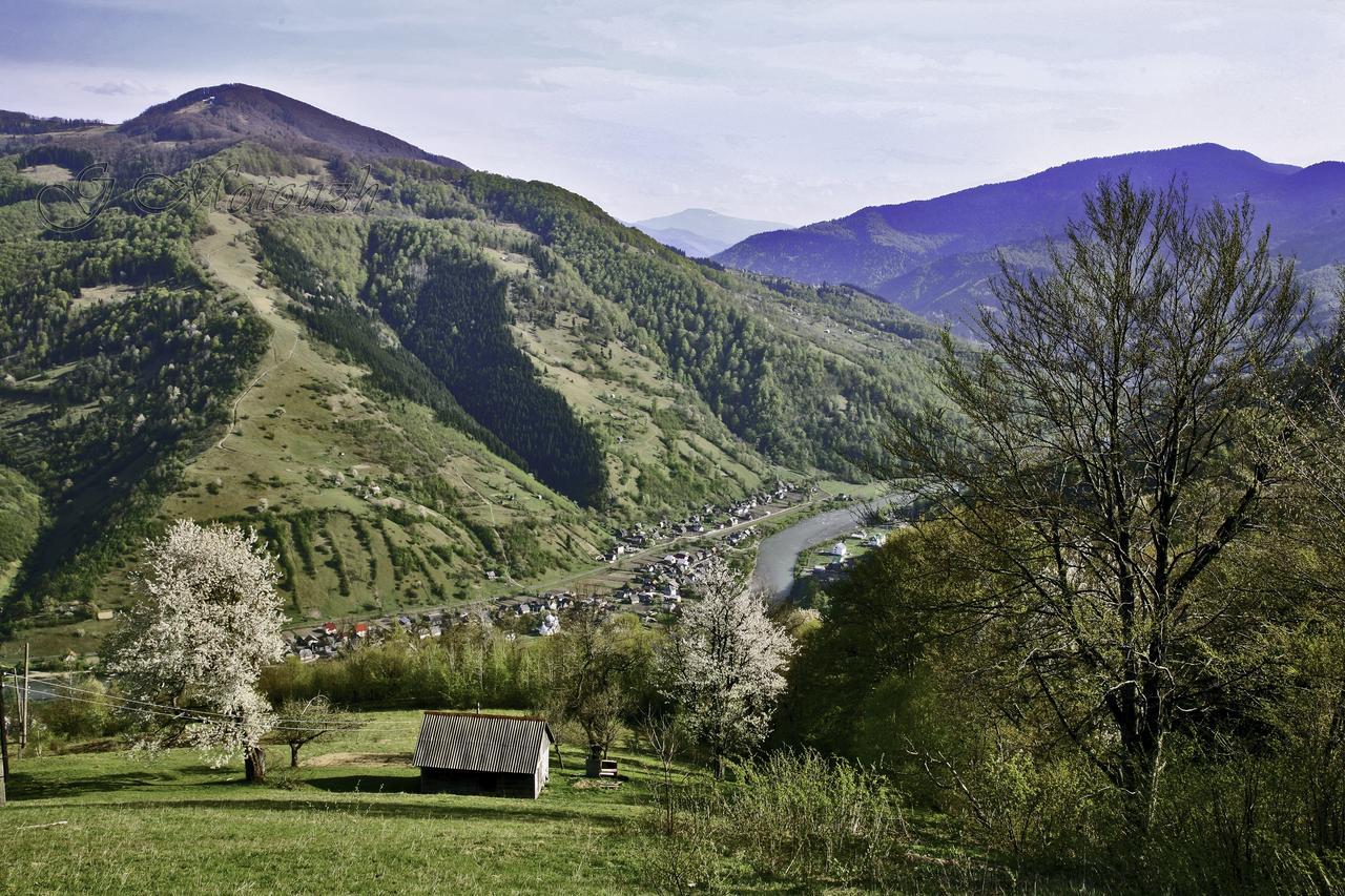 Dream Hostel Carpathians Rachiv Exteriér fotografie
